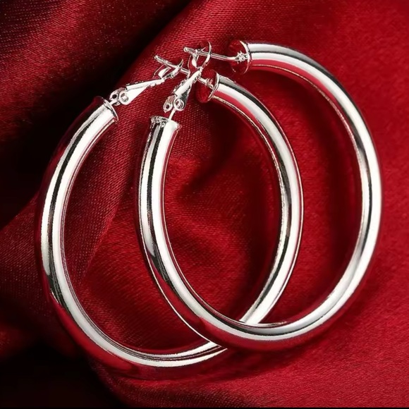 Jewelry - Timeless Silver Hoop Earrings with Hinged Closure